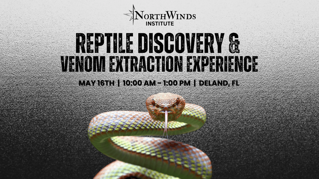 Promotional graphic for North Winds Institute's 'Reptile Discovery & Venom Extraction Experience' event featuring a close-up image of a colorful snake with text details about the event date and location.