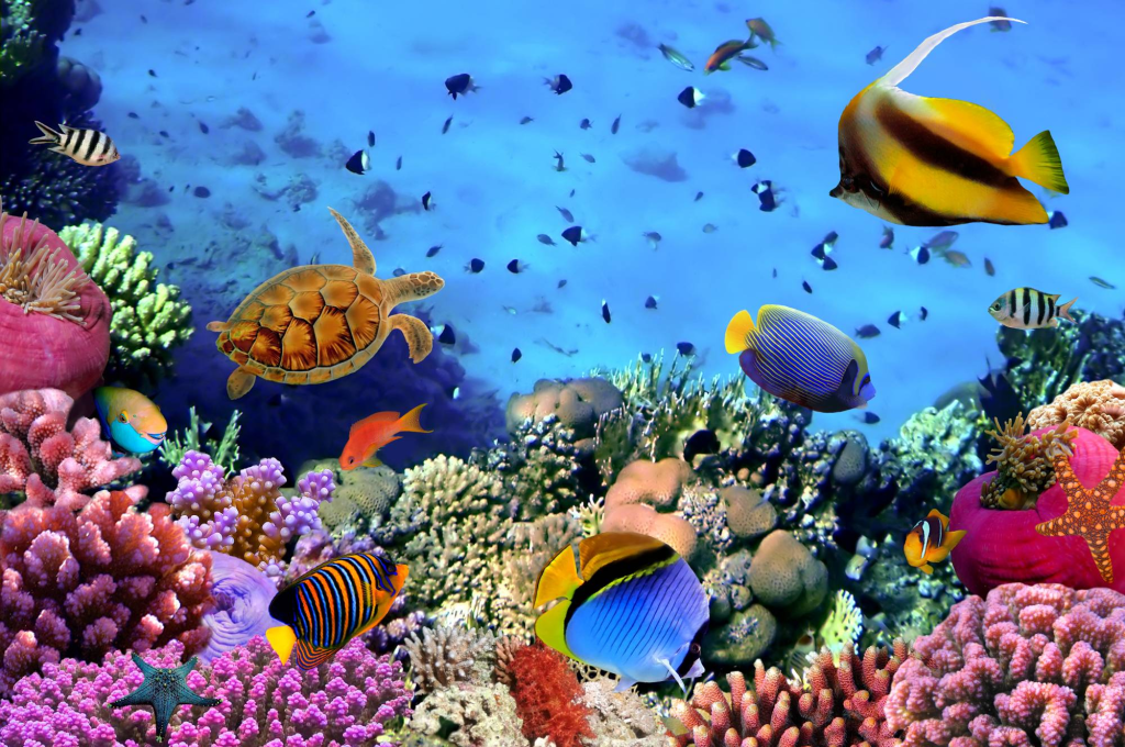 A vibrant underwater scene featuring a variety of colorful fish swimming among coral reefs, with a sea turtle gliding gracefully through the water.